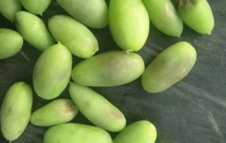 植?？萍贾r業發展，特色產業推動鄉村振興