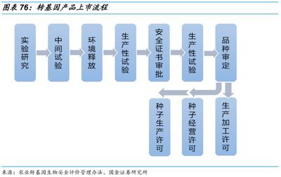 乘轉(zhuǎn)基因政策之風(fēng)，國(guó)內(nèi)種業(yè)加速整合發(fā)展——農(nóng)作物種子經(jīng)營(yíng)的新機(jī)遇與挑戰(zhàn)